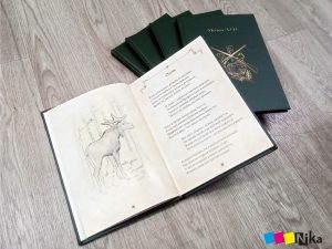 книга Мечев