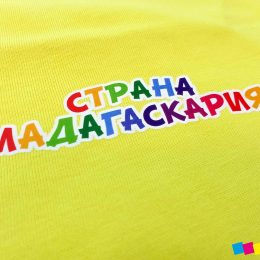 футболка Страна Мадагаскария